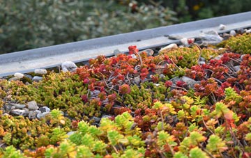 the cost of Kneesworth green roof installation