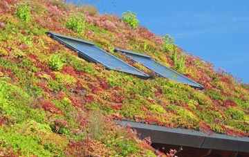 Kneesworth living roof systems